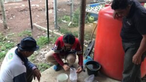 Pertamina Optimalkan Pertanian Hidroponik dengan Teknologi Penjernihan Air Hujan