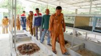 Pertamina Dirikan Rumah Maggot Pertama di Pangkalpinang sebagai Inovasi Lingkungan Berkelanjutan