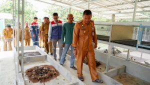 Pertamina Dirikan Rumah Maggot Pertama di Pangkalpinang sebagai Inovasi Lingkungan Berkelanjutan