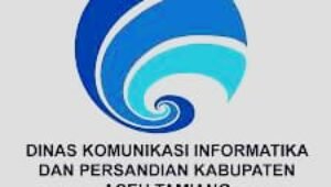 Dinilai Tidak Paham Tupoksi, Wartawan Minta Pj Bupati Copot Kadis Kominfosan Aceh Tamiang