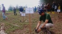 PHR Zona 1 Tanam Puluhan Ribu Pohon, Bukti Nyata Tanggung Jawab Lingkungan di Wilayah Operasi