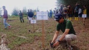PHR Zona 1 Tanam Puluhan Ribu Pohon, Bukti Nyata Tanggung Jawab Lingkungan di Wilayah Operasi