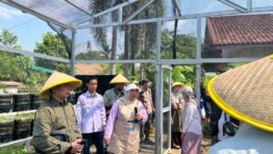 Sugihwaras Creative Village: Solusi Inovatif Pertamina untuk Masalah Sosial di Palembang