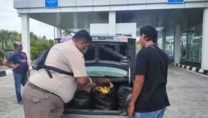 Tekan Penyakit Baru, BKHIT Kalbar Perketat Pengawasan di Pintu Perbatasan PLBN Nanga Badau Kapuas Hulu