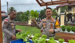 Program Astacita Presiden, Kapolres Kapuas Hulu Panen Perdana Perkarangan Bergizi Metode Hidroponik