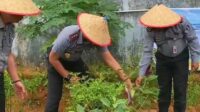 Lahan Kosong Rutan Kelas I Palembang Sukses ‘Disulap’ Menjadi Kebun dan Tambak Ikan