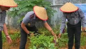 Lahan Kosong Rutan Kelas I Palembang Sukses ‘Disulap’ Menjadi Kebun dan Tambak Ikan