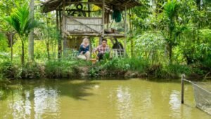 DESA IMPIAN, Upaya Bukit Asam (PTBA) Wujudkan Mimpi Masyarakat Mandiri dan Lingkungan Lestari