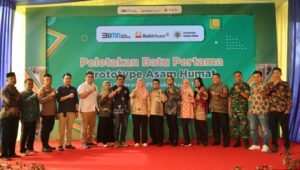 Kolaborasi dengan UGM, Bukit Asam (PTBA) Kembangkan Batu Bara Jadi Asam Humat