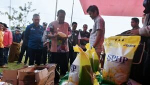 Provinsi Sulbar Peringkat 11 Terbaik Nasional Pengendalian Inflasi