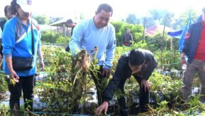 Pemprov Akan Bagi Bibit Hortikultura, Ini Imbauan Pj Bahtiar