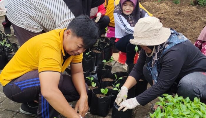 Ide Kreatif Pemdes Jarakan Tulungagung Dukung Program Ketahanan Pangan Nasional