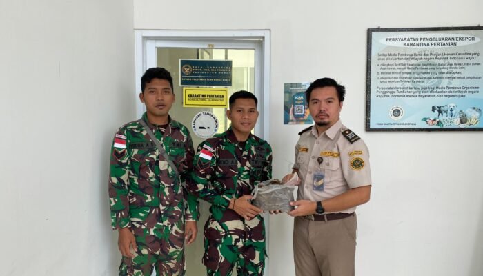 Sinergitas Apik, BKHIT Kalbar terima 1 kg Sisik Trenggiling dari Satgas Pamtas Yonzipur 5/ABW