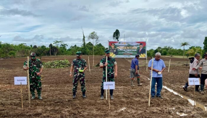 Danrem 182/JO Hadiri Penanaman Jagung Serentak