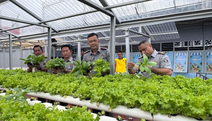 Kepala Rutan Kelas I Palembang Dukung Program Ketahanan Pangan dengan Panen Sayur Hidroponik