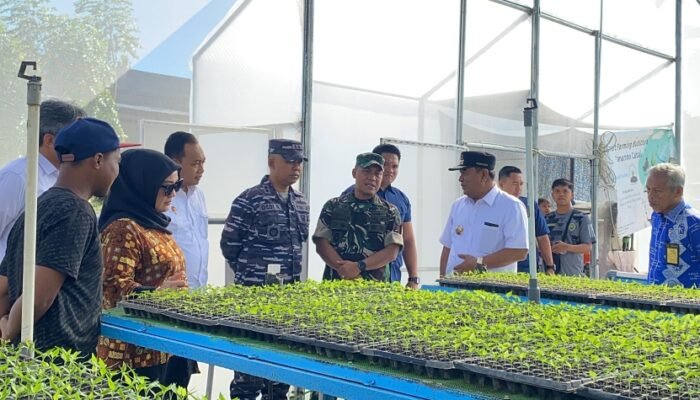 Wakil Ketua DPRD Sulbar, Suraidah dampingi Pj.Gubernur Kunjungi Kelompok Tani Cabai di Kalukku