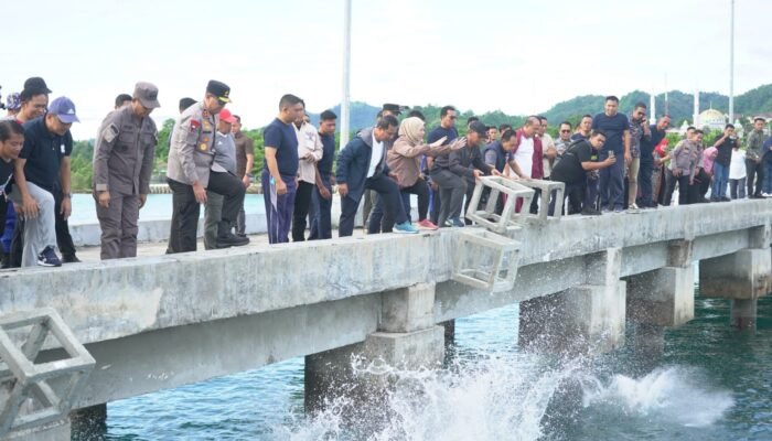 Bersama Forkopimda, Pj Bahtiar Turunkan Seribu Karang Buatan di Teluk Mamuju