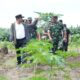 Tinjau Perkebunan di Beru-beru Kalukku, Pj Bahtiar : Kedepan Jadi Tempat Edukasi Ketahanan Pangan