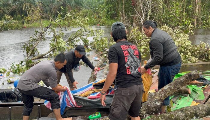 PETI di Kecamatan Suhaid Kapuas Hulu Menelan Dua Korban, Korban Tertimpa Pohon