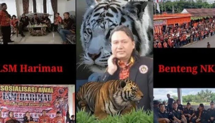 LSM Harimau Beri Tanggapan Keras atas Pernyataan Menteri Desa PDT