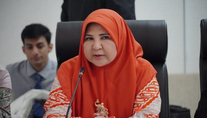 Nevi Zuhairina Dukung Penataan Distribusi LPG 3 Kg, Minta Kemudahan bagi Pengecer