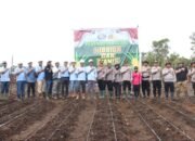 Dukung Asta Cita Presiden, Polres Fakfak Gandeng PT RSP Tanam Jagung