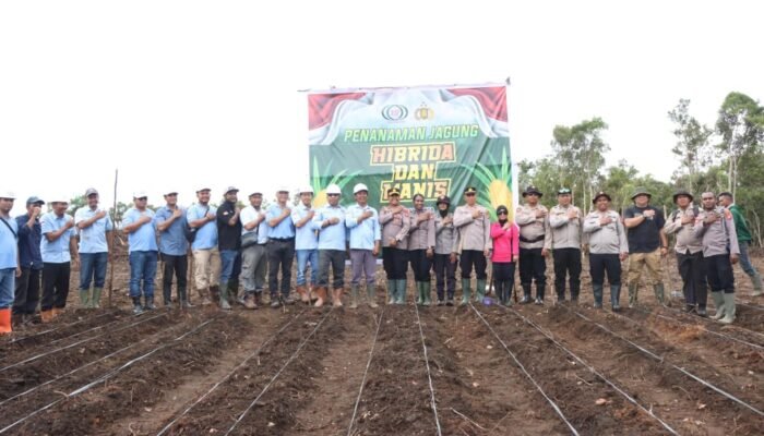 Dukung Asta Cita Presiden, Polres Fakfak Gandeng PT RSP Tanam Jagung