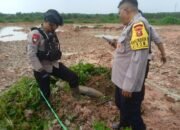 Mortir Sepanjang 120 Cm Ditemukan Warga Desa Sako