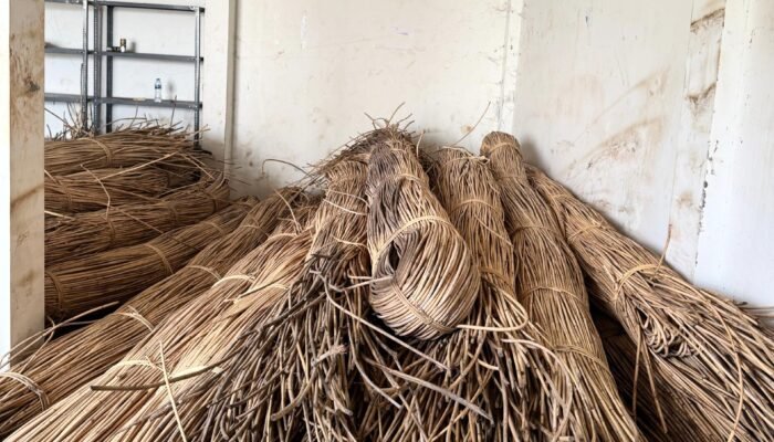 KPPBC TMP C Nanga Badau Kapuas Hulu Lelang Rotan Asalan