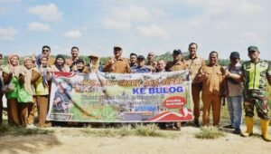 Sergab Upaya Menstabilkan Harga Padi di Tingkat Petani