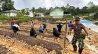 Wujudkan Urban Farming Percontohan, Korem 182/JO Gandeng Dinas Pertanian Fakfak Kelolah Lahan Kosong
