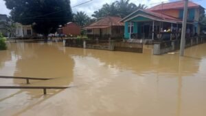 Akibat Luapan Sungai Batang Hari, Wilayah Kelurahan Tanjung Pasir Jambi Terendam Banjir