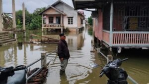 Puluhan Rumah Kelurahan Mudung Laut Jambi Terendam Banjir, Warga Harapkan Bantuan Sembako