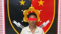 Satreskrim Polres Mura Tangkap Satu dari Lima Pelaku Curat Sawit di PT PHML