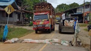 Wakil DPRD Kapuas Hulu Desak Pemerintah Perbaiki Jalan Lintas Selatan Dusun Buak Mau
