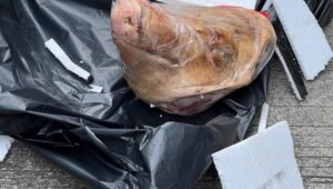 Tempo Mendapat Kiriman Kepala Babi