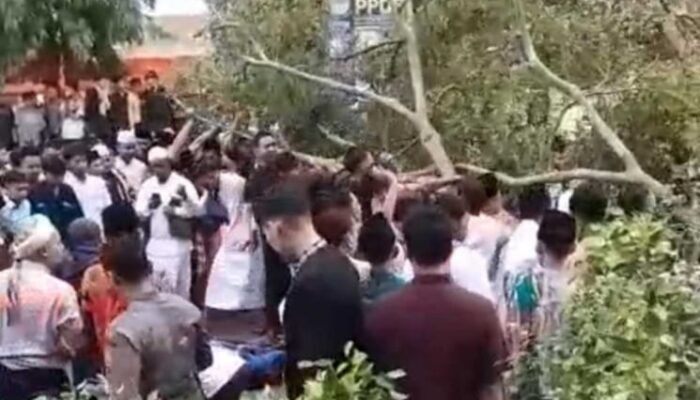 Tragedi di Hari Raya: Pohon Beringin Tumbang di Alun-Alun Pemalang