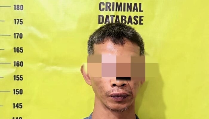 Larikan ‘Calok’ 600 Kg, Ismail Belebaran di Sel Tahanan Polrestabes Palembang