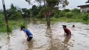 Selain Jenuh dengan Musibah Banjir yang terus Melanda, Warga Tanah Mas juga Takut akan Munculnya Buaya
