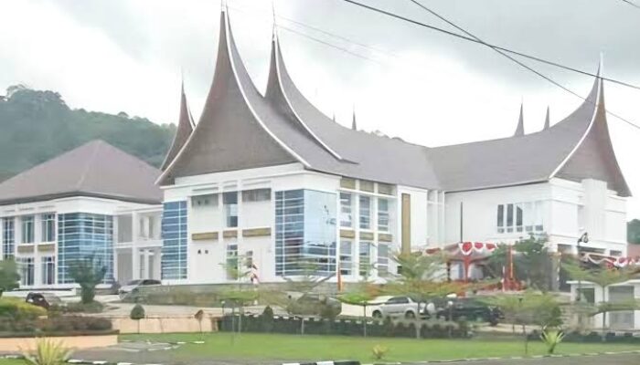 Penggunaan Kop Wakil Bupati Solok Surat RUP 2025, Langkah Wujud Percepatan Pembangunan