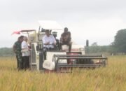Panen Raya Nasional, Pemkab Sergai Siap Jaga Keseimbangan Ekosistem Pertanian