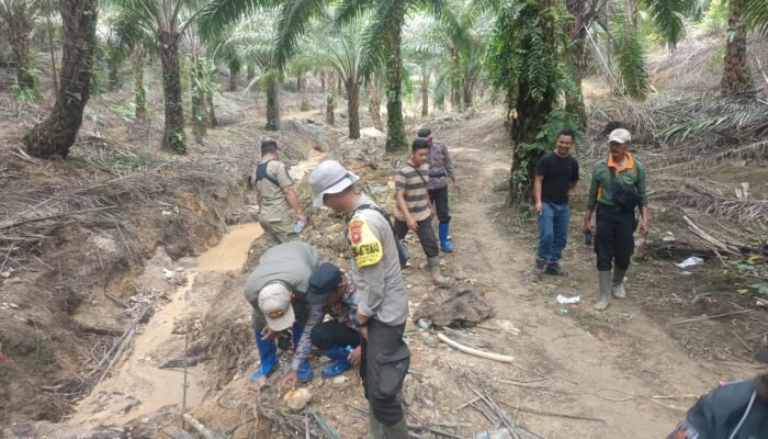 Kapolsek Semitau Imbau Aktivitas PETI di Kapuas Hulu Rambah Area Perkebunan Sawit PT DNL KHTE