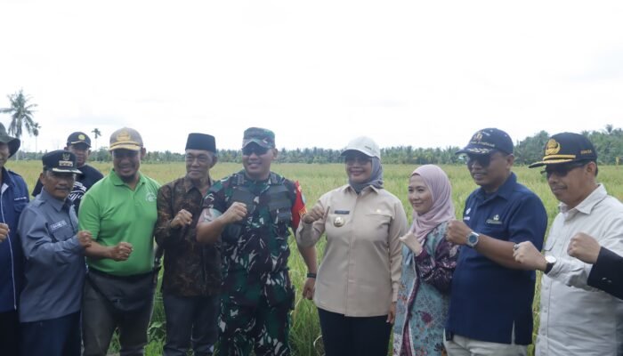 Di Pimpin Presiden RI, Dandim dan Bupati Mempawah Ikut Panen Raya Serentak