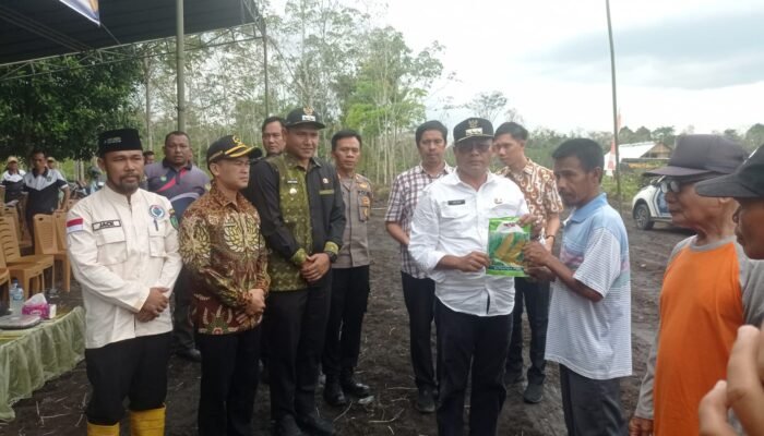 Nyata, Program Unggulan Arlan Franky Garap Lahan Perkebunan Pertanian dan Pemberian Bibit Gratis Terealisasi