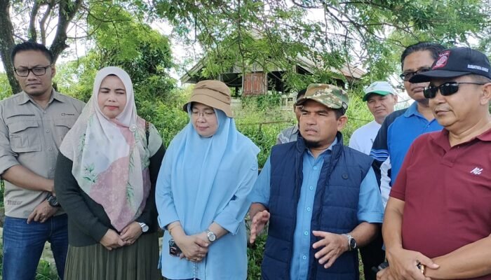 Wabup Solok Tinjau Lahan yang Akan Jadi Sekolah Rakyat: Komitmen Nyata untuk Pendidikan Inklusif