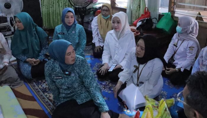 TP PKK Palembang Peduli Kader Posyandu, Beri Bantuan Kursi Roda untuk Cek Wati