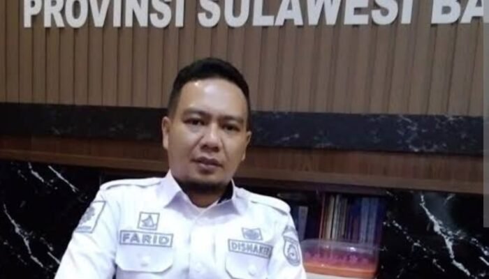 Target 1000 Orang Tenaga Kerja Bersertifikat, Disnaker Sulbar Buka 7 Program Pelatihan Unggulan
