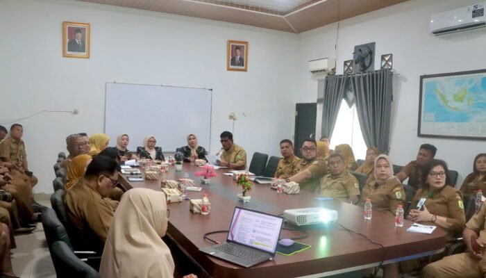 Selain Cegah Stunting, Ini Peran Tim Pembina Posyandu Sergai