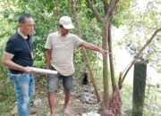 Warga Sukarami Palembang Resah Sindikat Pencuri Sapi