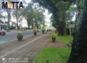 Keberadaan Kursi Taman Jalan Ijen, Penjelasan Kepala DLH Kota Malang
